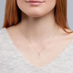 333 Echtgoldanhänger als Hufeisen mit Steinen GP0192SL