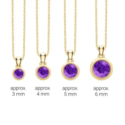 Amethyst Anhänger aus 585er Gold BDP0033Am-14KGSL