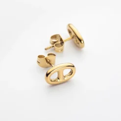 Anchor Chain Ohrstecker für Damen aus Edelstahl, gold PH004104