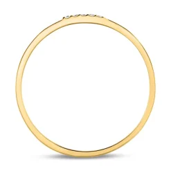 Diamantring aus 585er Gold DR0497-G