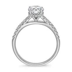 Diamantring aus Weißgold oder Platin, lab grown BDR0029LG-WSL