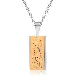 Edelstahlanhänger mit gelbvergoldetem Element P5111SL