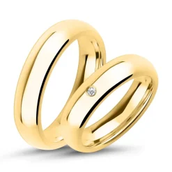 Edelstahleheringe gelbvergoldet mit Steinbesatz R9205s