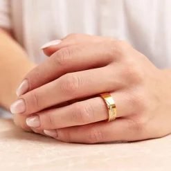 Edelstahlring teilvergoldet 6mm Zirkonia R9195czSL