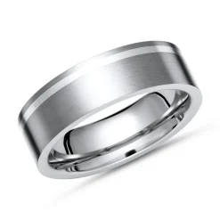Eleganter Ring Titan matt mit Einlage Silber TR0023SL