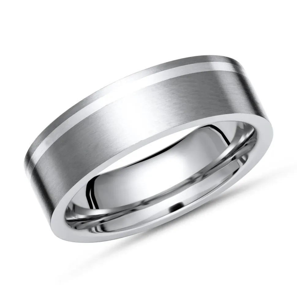 Eleganter Ring Titan matt mit Einlage Silber TR0023SL