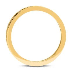 333er Gold Eternity Ring mit Zirkonia GR0159