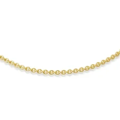 585er Goldkette: Ankerkette Gold 55cm BIN1041-55