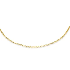 333er Goldkette: Ankerkette Gold 45cm BIN1008-45