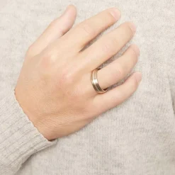 Exklusiver Ring Titan Gold- und Silbereinlagen TR0050SL