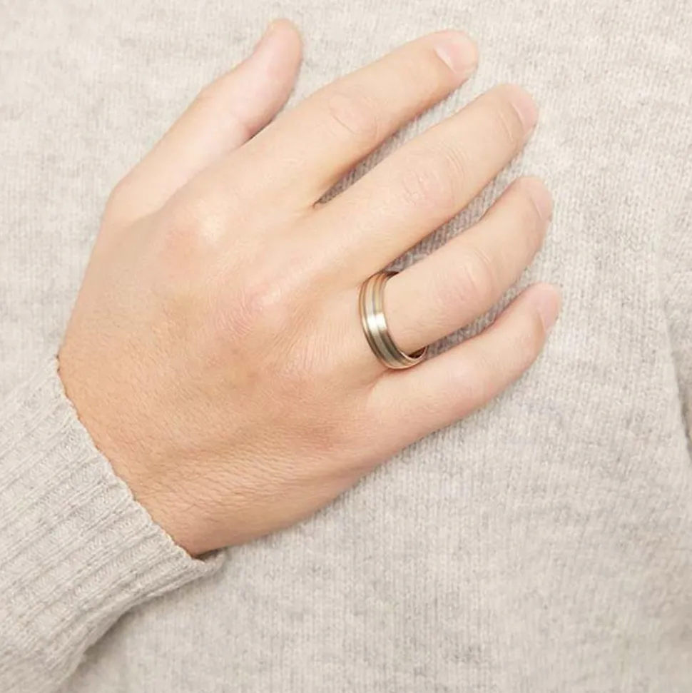 Exklusiver Ring Titan Gold- und Silbereinlagen TR0050SL