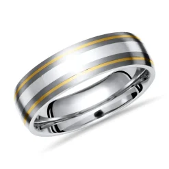 Exklusiver Ring Titan Gold- und Silbereinlagen TR0050SL