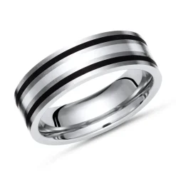 Exklusiver Ring Titan mit Einlage Silber TR0048SL