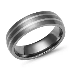 Exklusiver Titanring mit 2 925 Silbereinlagen TR0102SL