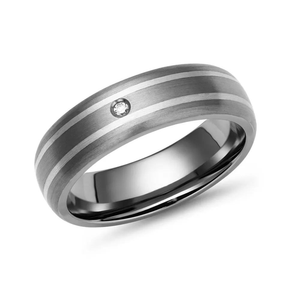 Exklusiver Titanring mit 2 925 Silbereinlagen TR0103SL