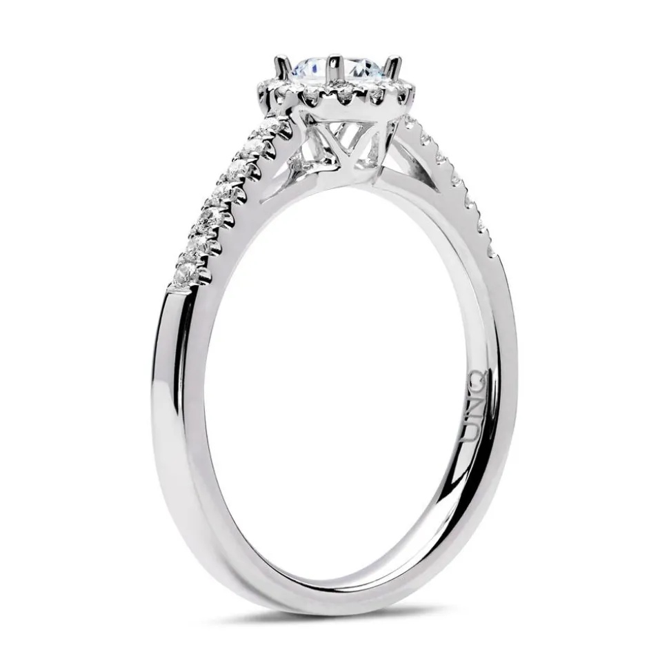 Halo Ring 950er Platin mit Brillanten DR0296SL-PT