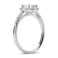 Halo Ring 950er Platin mit Diamanten DR0301SL-PT