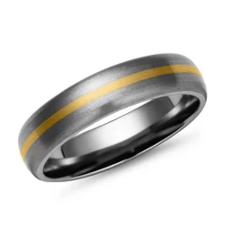 Matter Titan Ring mit 585 Gold Einlage TR0092SL