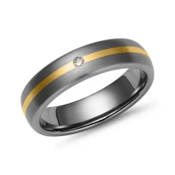 Matter Titanring mit 585 Goldeinlage TR0093SL