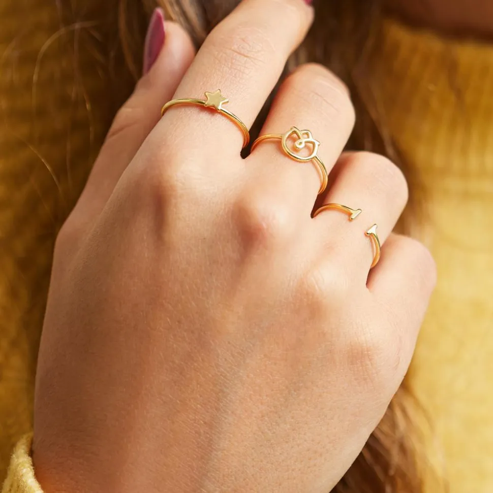 Minimalistischer Ring aus vergoldetem 925er Silber LSR0025