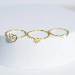 Minimalistischer Ring aus vergoldetem 925er Silber LSR0025