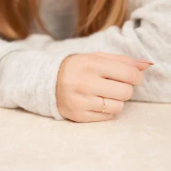 Minimalistischer Ring aus vergoldetem 925er Silber LSR0025