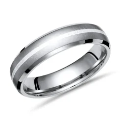 Moderner Ring Titan mit Einlage Silber 6mm breit TR0010SL