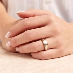 Ring Titan mit Gold und Silber Einlage + Diamant TR0051SL