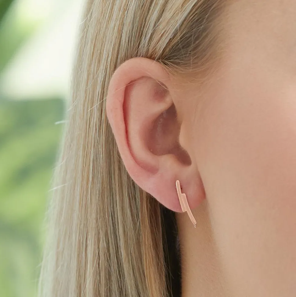 Rosévergoldete 925er Silber Ohrhänger LSE0035