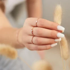 Stäbchen Ring aus rosévergoldetem 925er Silber LSR0038