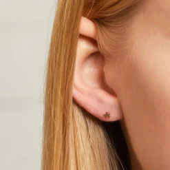 Stern Ohrstecker aus rosévergoldetem 925er Silber LSE0020