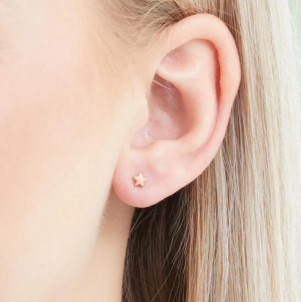 Stern Ohrstecker aus rosévergoldetem 925er Silber LSE0020