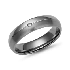 Titan Ring matt/glänzende Kombination TR0105SL