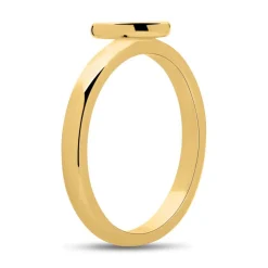 Vergoldeter 925er Silberring Herz Gravuroption SR0424SL