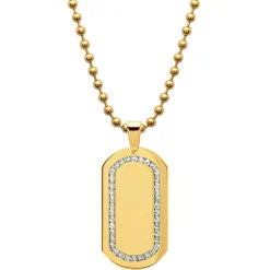 Vergoldetes Edelstahl Dogtag mit Zirkonia P5076SL