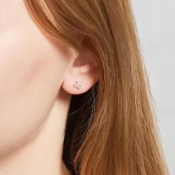 Zirkoniabesetzte Ohrstecker aus 925er Silber, rosé SE1066-R